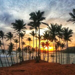 coconut-tree-hill-mirissa-3